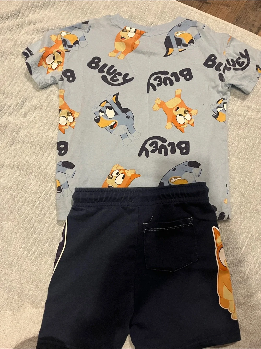 Bluey bingo set